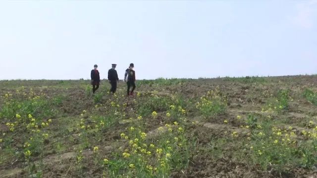 火炬彩票注册