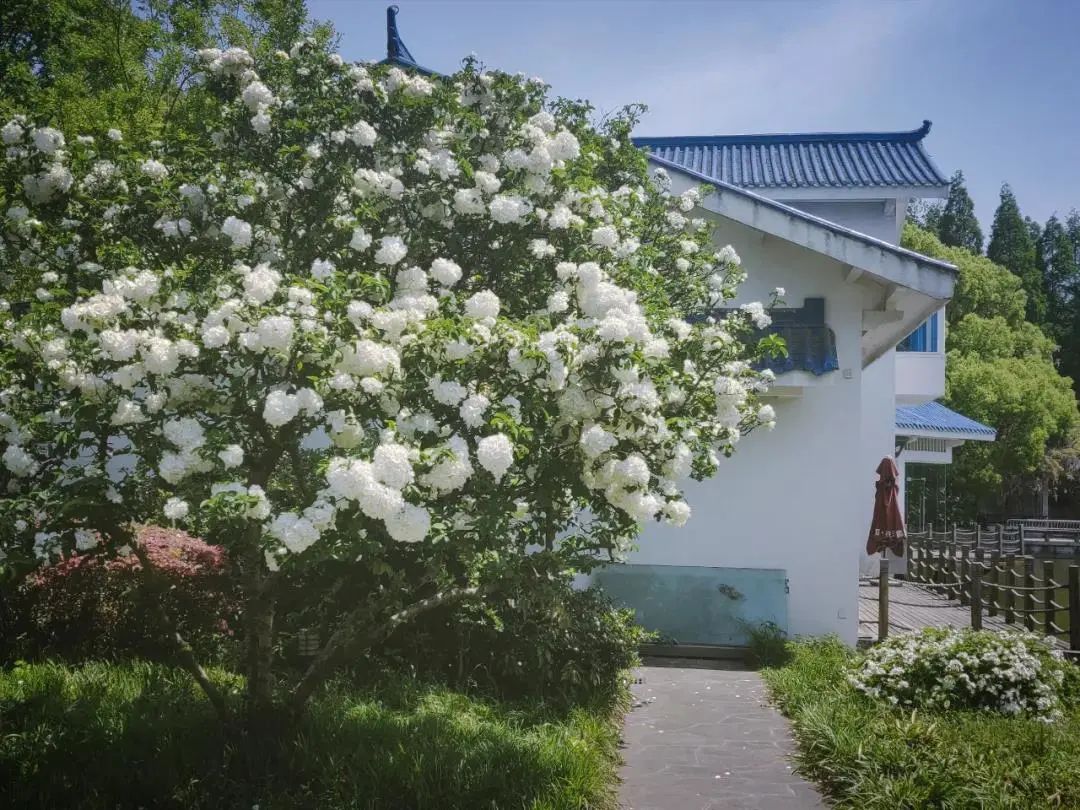 百尊彩票注册