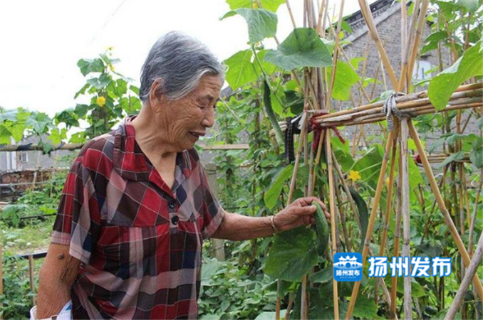 红单彩票开奖