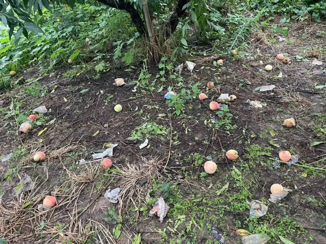 微博热搜排行_微博“明星势力榜”下线,“热搜”是否也要整改