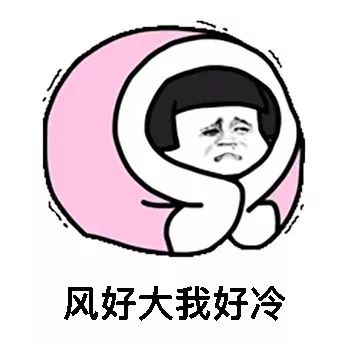 有多低? 14.6°c! 湿漉漉的天配上凉飕飕的风 再